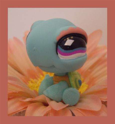 Littlest Pet Shop, turtle #522