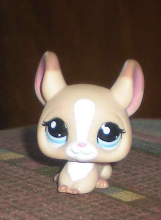 Littlest Pet Shop, Chinchilla Beige / Brown