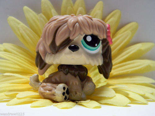 Littlest pet shop, Dog Sheep Dog 1816
