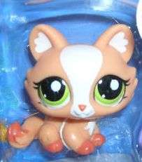Littlest Pet Shop, Persian Cat 1868