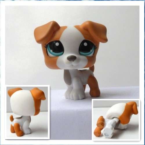 Littlest Pet Shop, Dog -  Terrier Blue Eyes #1093
