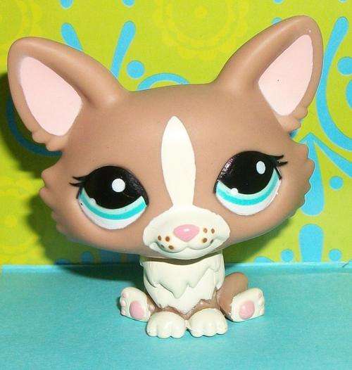 Last One - Littlest Pet Shop, Dog - Chihuahua / Corgi 1864