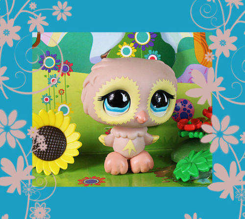 Only One, Littlest Pet Shop Cream Owl 674