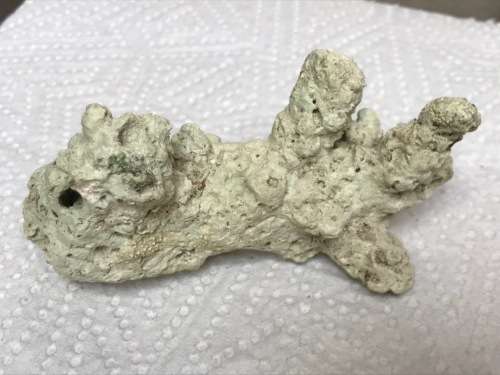 Coral lot 5 old vintage collectors item