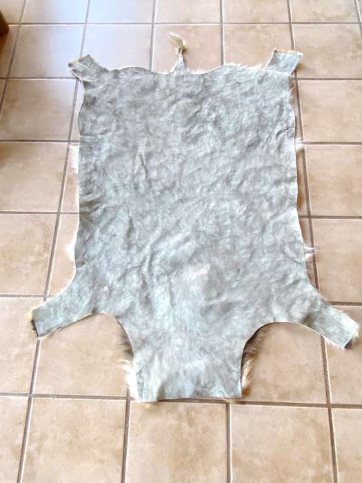 Lechwe skin, approx.size: 1.60mx1.20m, profess. skined+tanned, animal,
