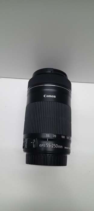 Canon EF 55-250mm STM with image stabilizer