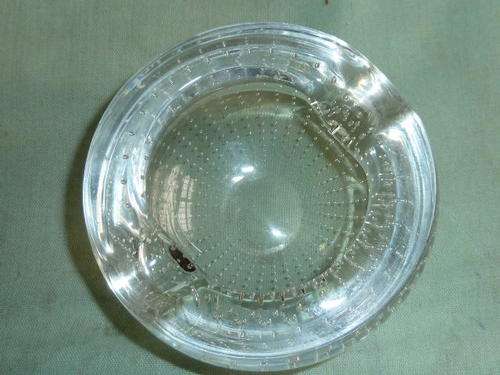 MURANO Bubbles glass