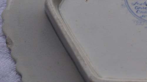 Windsor Festoon Opaque China J&W Ridgway Plate