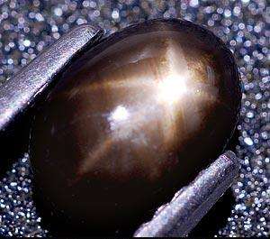 1.2ct 6 Ray Star Sapphire
