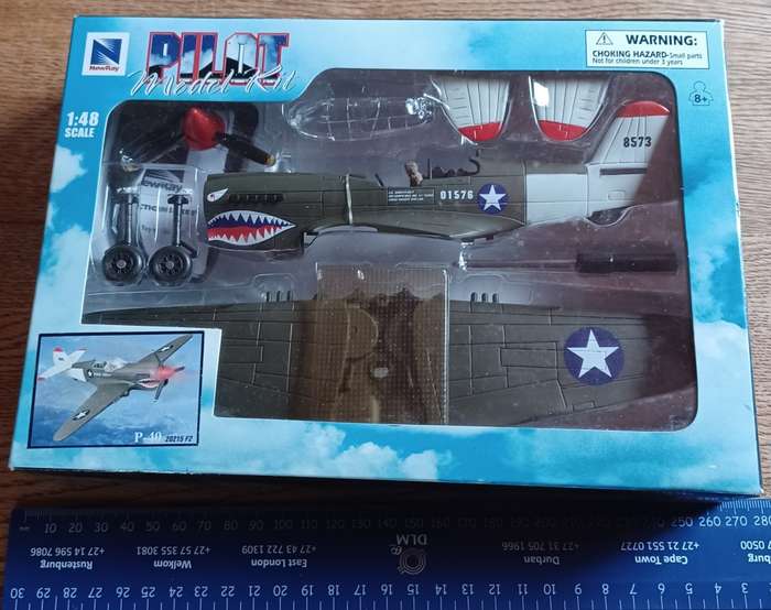 NewRay Pilot Model Kit ~ P-40 20215 F2 ~ 1:48 Scale