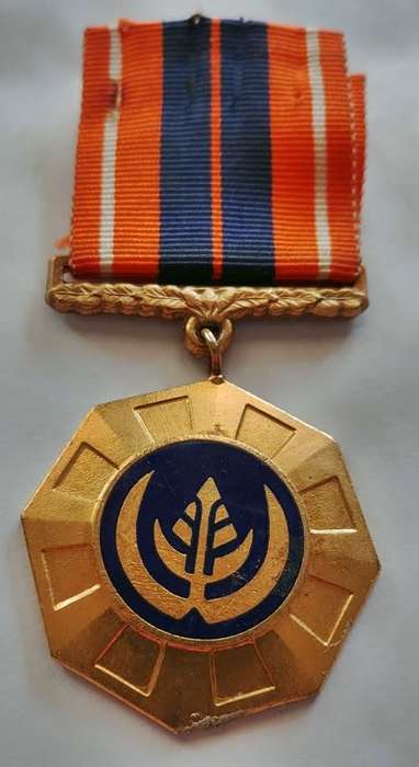## SADF Pro Patria Medal Number 78426 with Link Suspender ** Full Size ##
