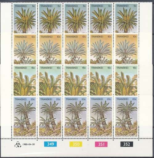 TRANSKEI  1980 - CYCADS  SET OF CONTROLS  FINE UN MINT