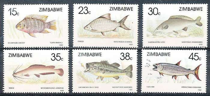 ZIMBABWE 1989  -  Fish  -   FULL SET  -  FINE  MINT