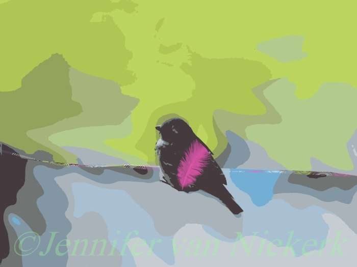 Feathered Sparrow  [d]