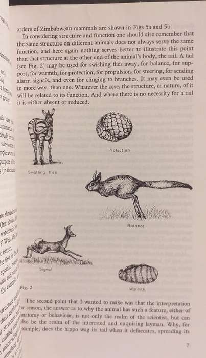 Bundu Series Wild mammals - A field guide and introduction to the mammals of Zimbabwe