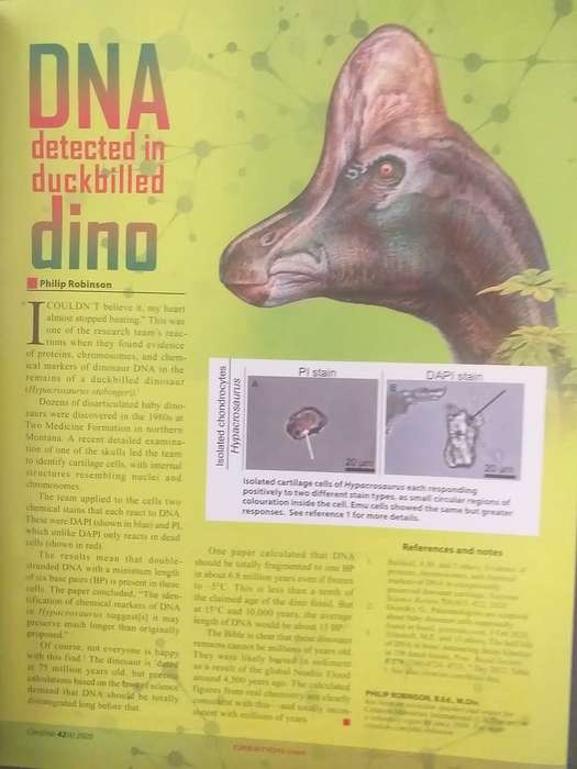 Six Issues of Creation Magazine (Creation.com)