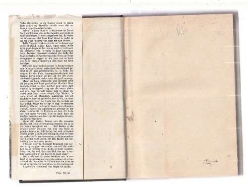 Liefdeslied - Reinette de Villiers - Roman (K1)