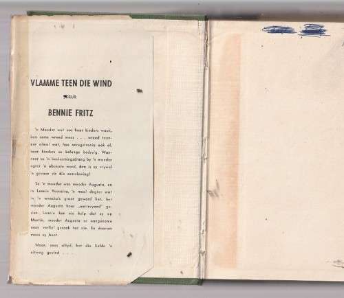 Vlamme in die Wind - Bennie Fritz - Roman (K1)