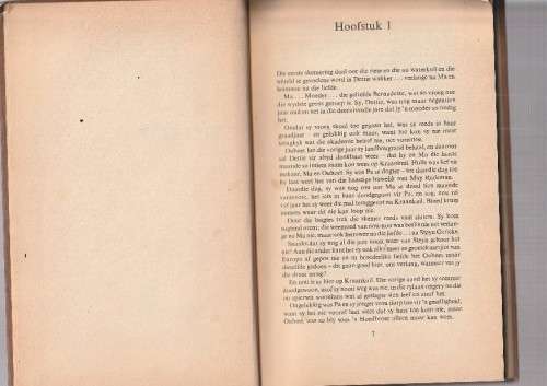 Mevrou van Secunda - Drickey Beukes - Roman (C1)
