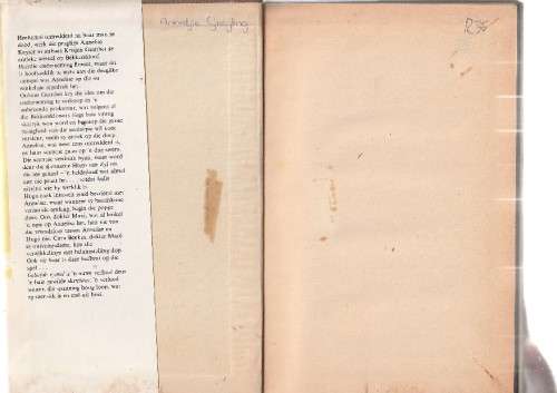 Geliefde Vyand - Nickey van Schalkwyk - (c5) - Roman