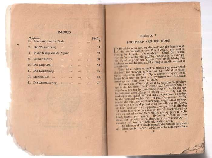 Die Geheim van die graf - Gerrie Radlof (k4) Swerwer Speurder nr 12 Pronk boek