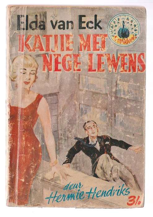 Katjie met nege lewens - Hermie Hendriks (k4) Elda van Eck reeks Pronk Boek