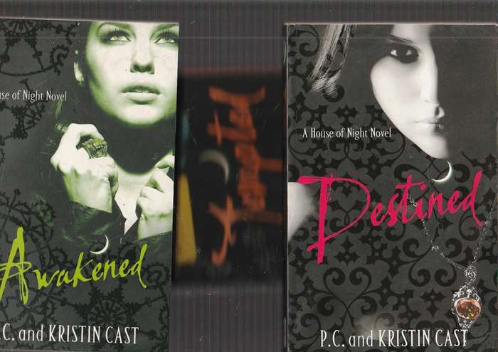 Lot of 3 House of Knight horror thrillers - PC & Kristin Cast - See Scans (d)