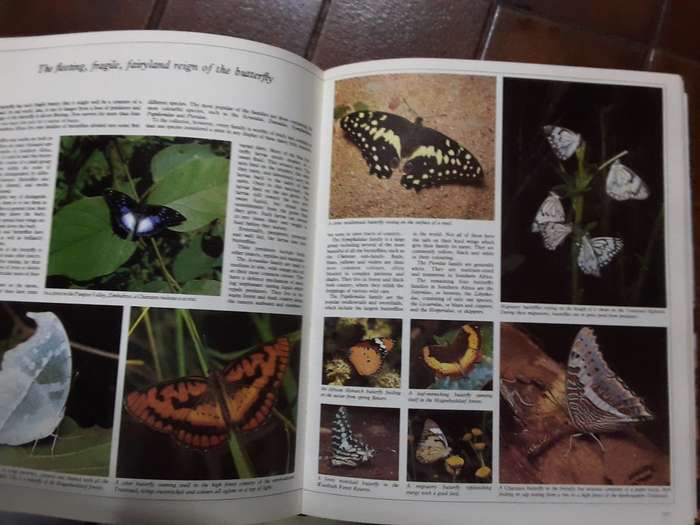 Illustrated Guide to Southern Africa - Readers Digest (F) (Travel Guide) 1978