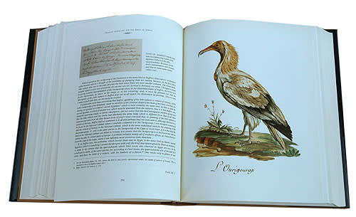 Francois Levaillant and the Birds of Africa