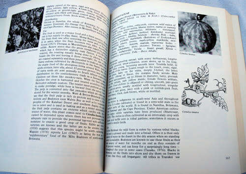 FOOD FROM THE VELD -- F.W. Fox & M.E. Norwood young