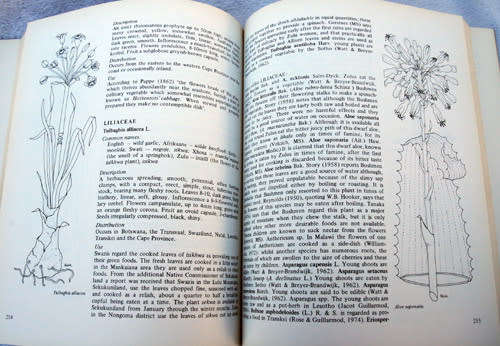 FOOD FROM THE VELD -- F.W. Fox & M.E. Norwood young
