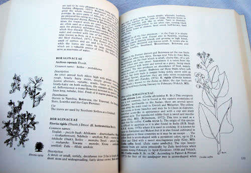 FOOD FROM THE VELD -- F.W. Fox & M.E. Norwood young