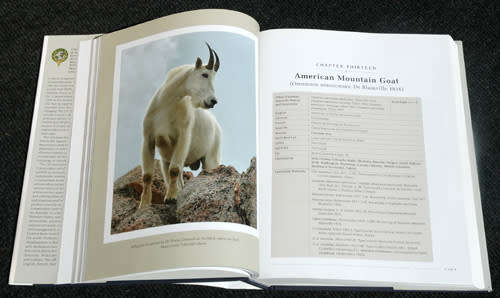 CIC Caprinae Atlas of the World (vol II) -- Gerhard R Damm, Nicholas Franco (signed)