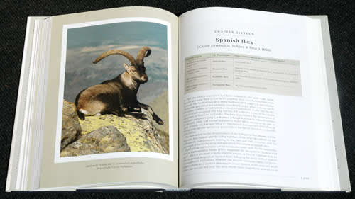 CIC Caprinae Atlas of the World (vol II) -- Gerhard R Damm, Nicholas Franco (signed)