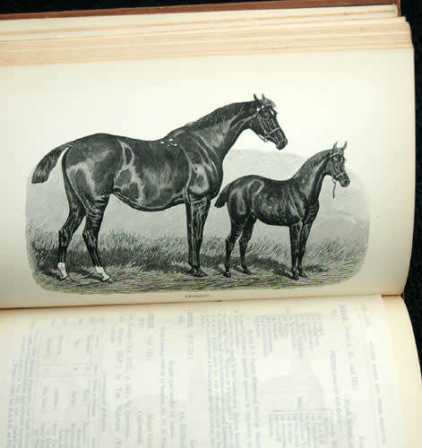 The Hunters` Improvement Society vol. iv. - Record of prize mares 1892