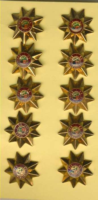 (4473) LOT OF 10 RANK PIPS - SANDF - 9-Point Stars - Miniature - Obsolete - ORIGINAL!!