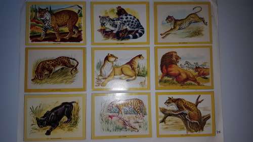 1972 Naturama Album (380 cards) [Complete!!!]
