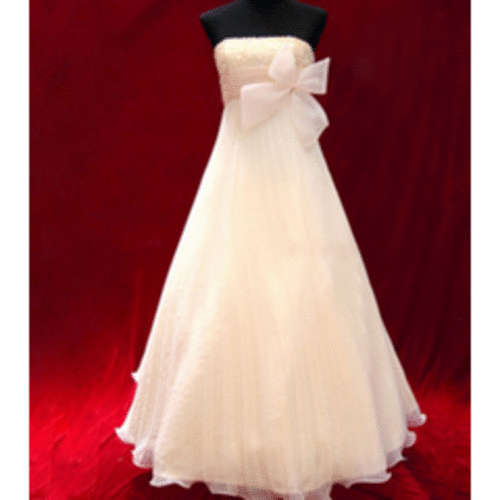 Crazy *Special* Elegent Strapless Formal Dress With Bow available in 4 colour