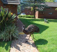 APRIL  WEEKEND BARGAIN, MOUNT AMANZI