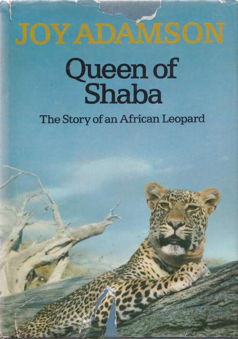 Queen of Shaba by Joy Adamson (Her Last Book)