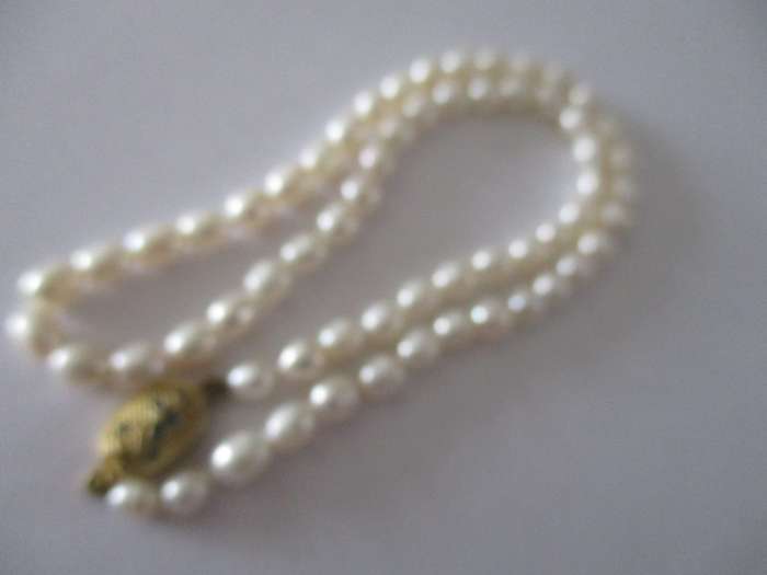 Fresh Water BIWA Pearls and Silver Clasp Necklace