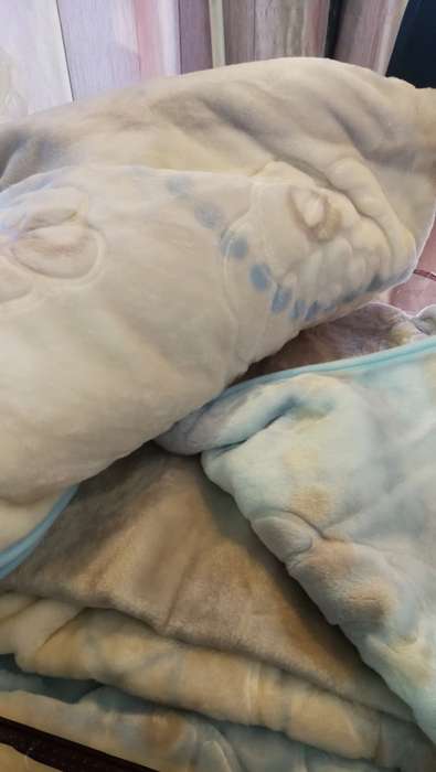 MINK ***Super Soft  Embossed Blanket-Quality Print (Assorted Prints) + FREE Bag