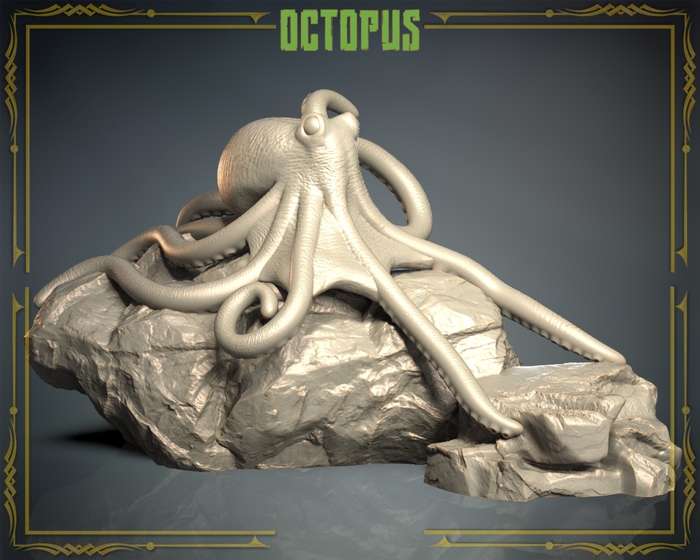 Animals Set 3 - Octopus
