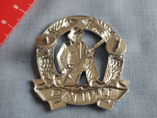 SADF SA MILITARY - UNITAS BERET BADGE