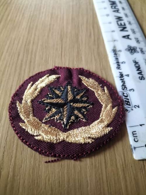 SA Army Special Forces Beret Badge (Possible Fake)