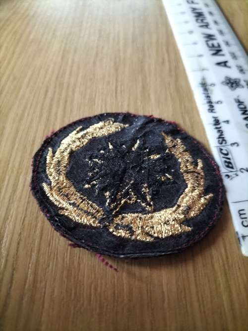 SA Army Special Forces Beret Badge (Possible Fake)