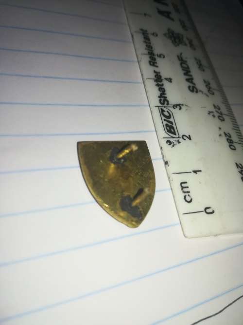 SADF Regiment De La Rey Cravat Pin