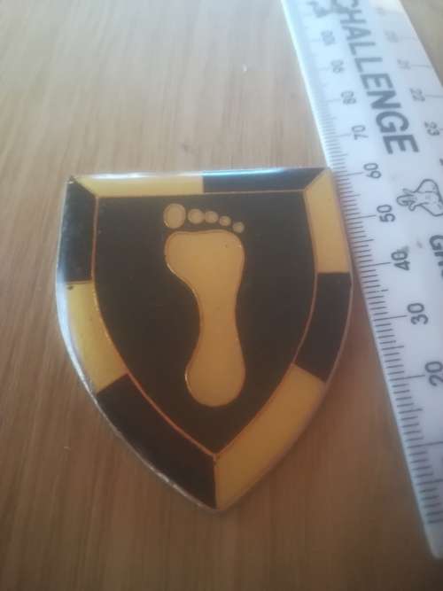 1 SWA Specialist Unit Flash (No Pins)