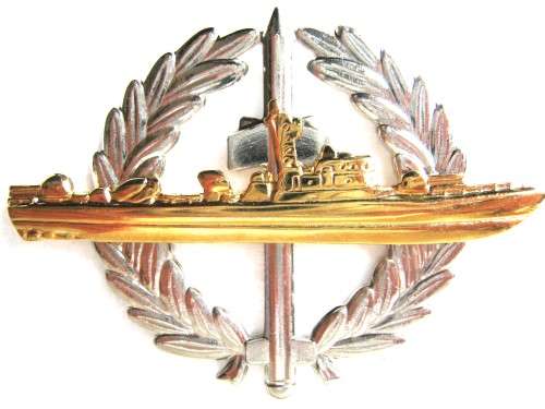 OLD S.A. NAVY LATER ISSUE STRIKE-CRAFT BADGE, TWO PIECE, GILDED STRIKE-CRAFT ON CHROMED WREATH