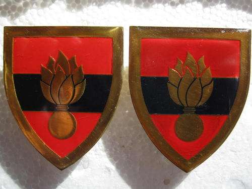 PAIR OF SA SCHOOL OF ENGINEERS FLASHES - GOLD TYPE 2ND ISSUE - WITH PINS AND CAPS